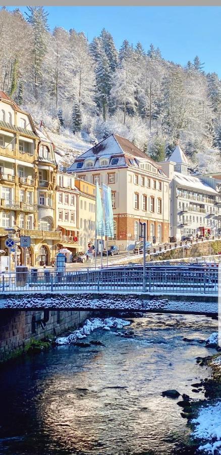 Gemuetliche Wohnung Im Zentrum Von Bad Wildbad Zewnętrze zdjęcie